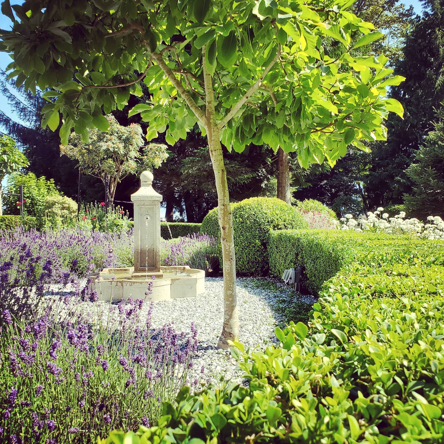 Why You Need a Landscaping Standard